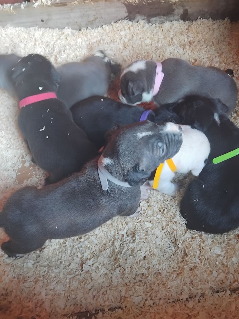 4 boys 2 girls 