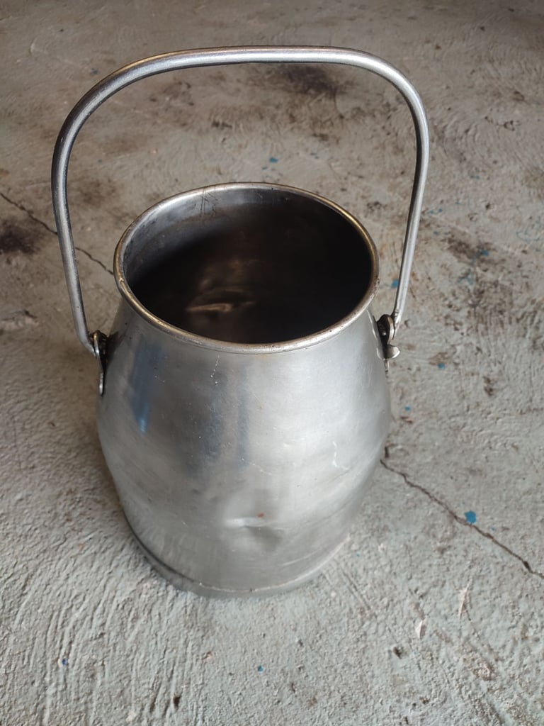 image for Milk churn planter 