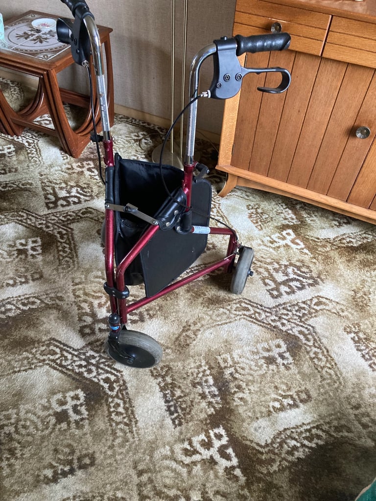 Mobility walker 