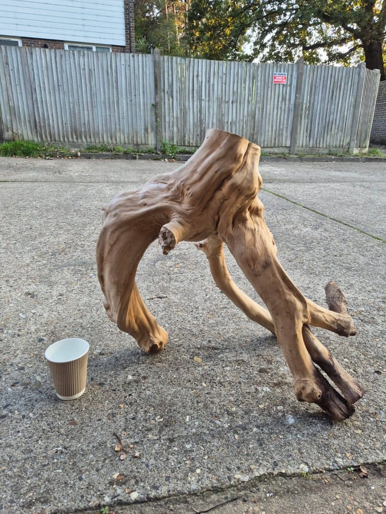 Reptile climbing Log/decor