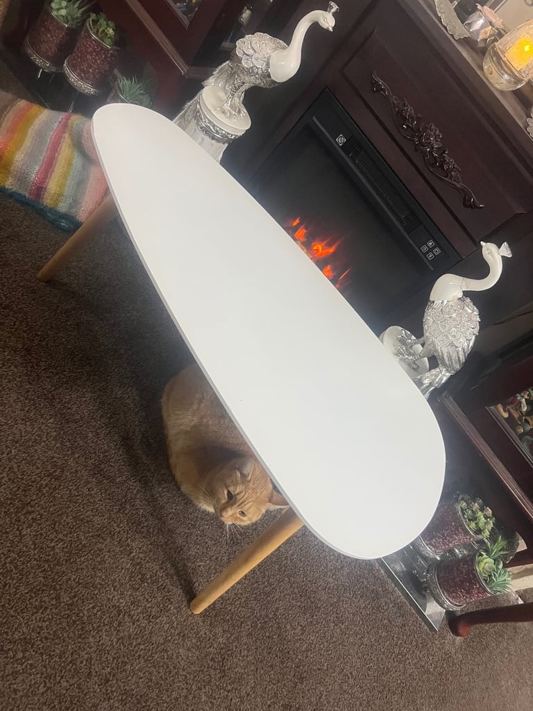 Modern style coffee table