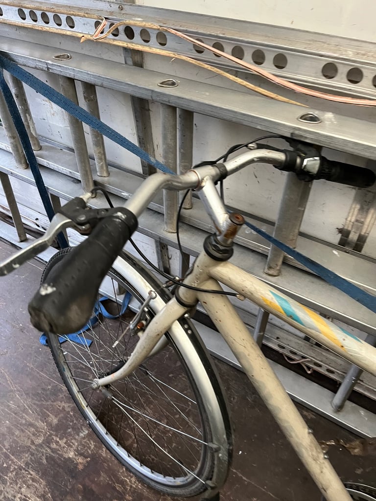 Dawes Vintage Woman’s Bike