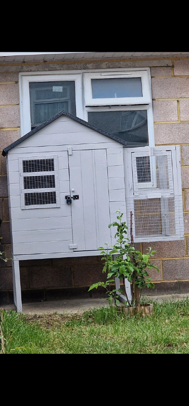 Pigeon Kit Box & Aviary For Sale