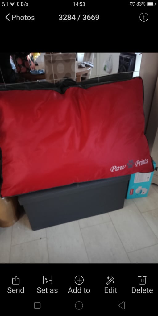 Large New Dog Bed