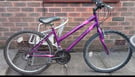 Adult Apollo Mountain Bike 26inch Wheels