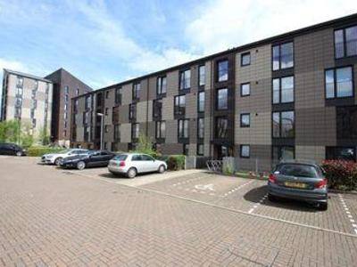 Big and Morden 3 bed room flat close to city canter 