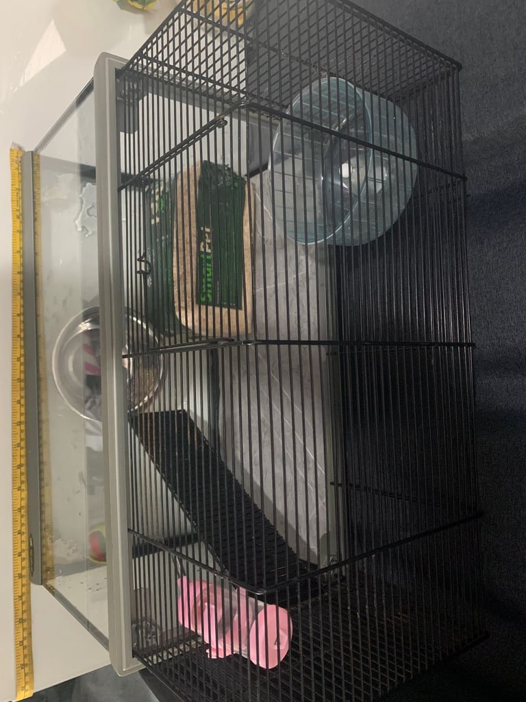 Glass Cage For Rodents 