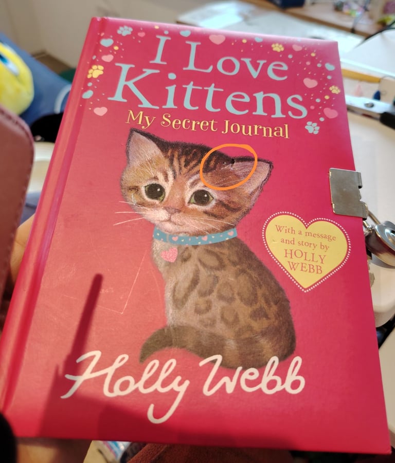 I Love Kittens My Secret Diary with heart lock Holly Webb