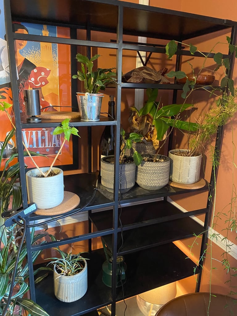 MADE multi level shelf