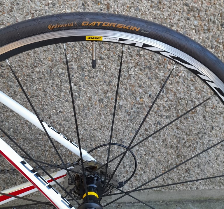 Giant Defy 1 Road Bike