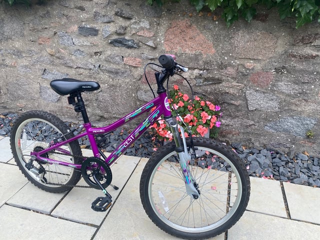 Halfords Apollo Zest Kids Mountain Bike Girls Mountain Bikes Reid