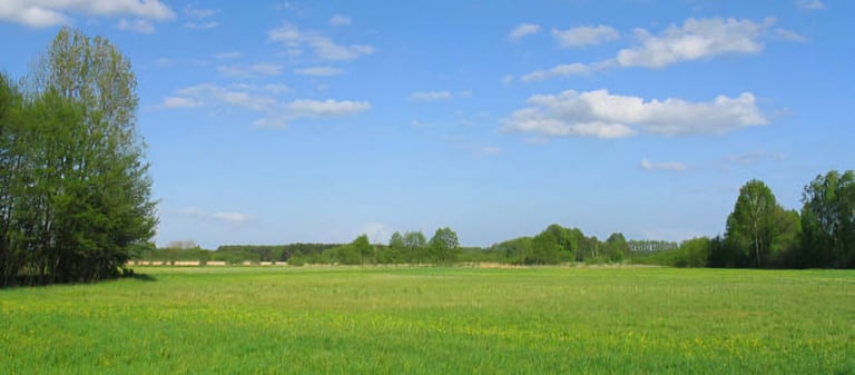image for Land wanted - Anything considered