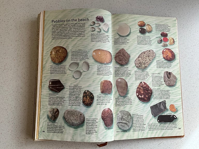 The Reader's Digest AA Book of the Road - Vintage book 1967, Maps, Flowers, Butterflies, Sea shells