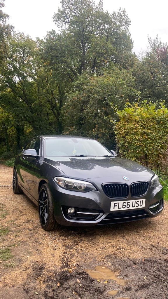 BMW, 2 SERIES, Coupe, 2016, Manual, 1499 (cc), 2 doors