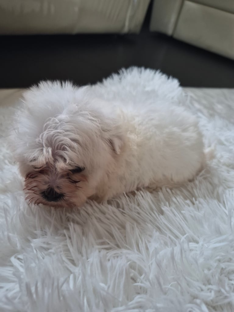 Beijan freeze ready.ready to leave 