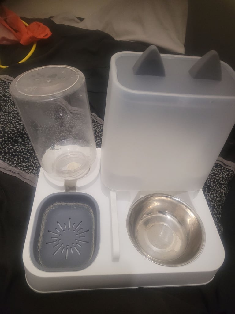 🐾 Complete Cat/Kitten Starter Bundle – Everything You Need! 🐾