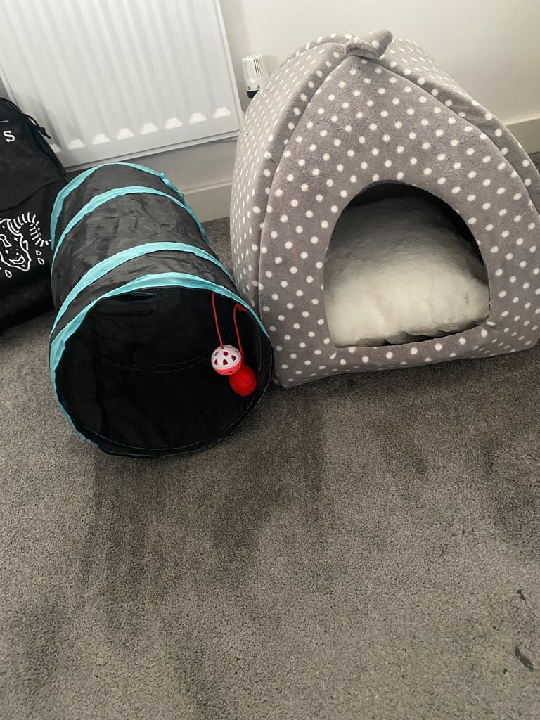 Cat bed and tunnel 