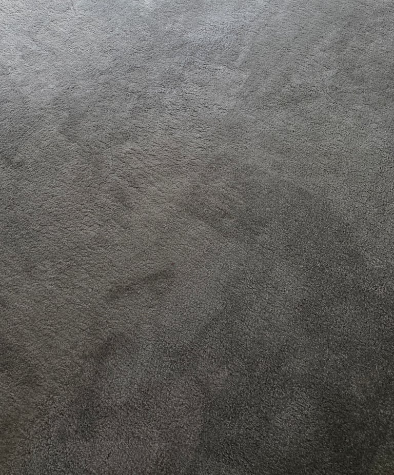 image for Grey Carpet 5mths old