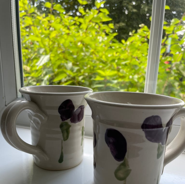 image for Beautiful plant pots