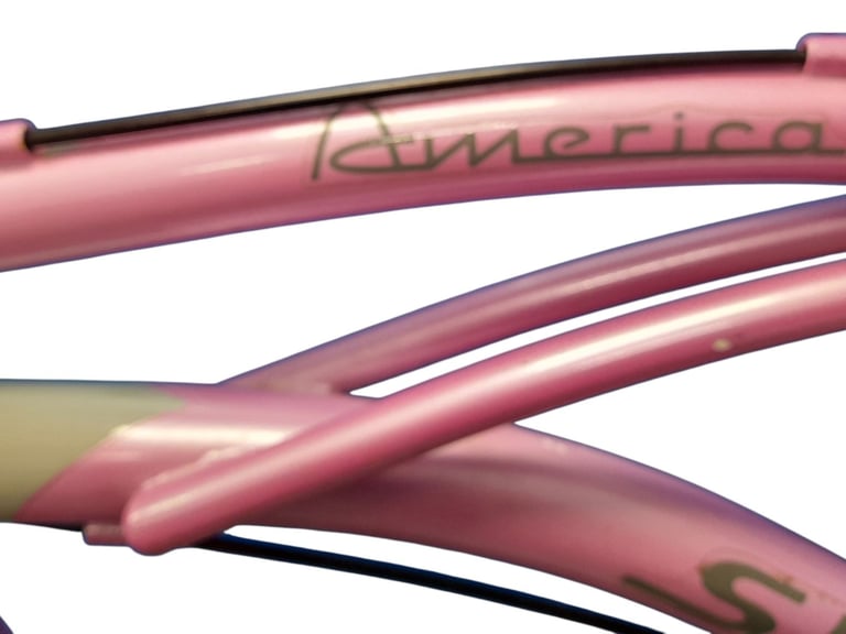 America Snob Ladies Bicycle with Basket and Back Penniers Rack - Student Discount Available