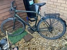 Giant Escape 3 Green Hybrid Bike, mud guard, cargo rack, cover etc.