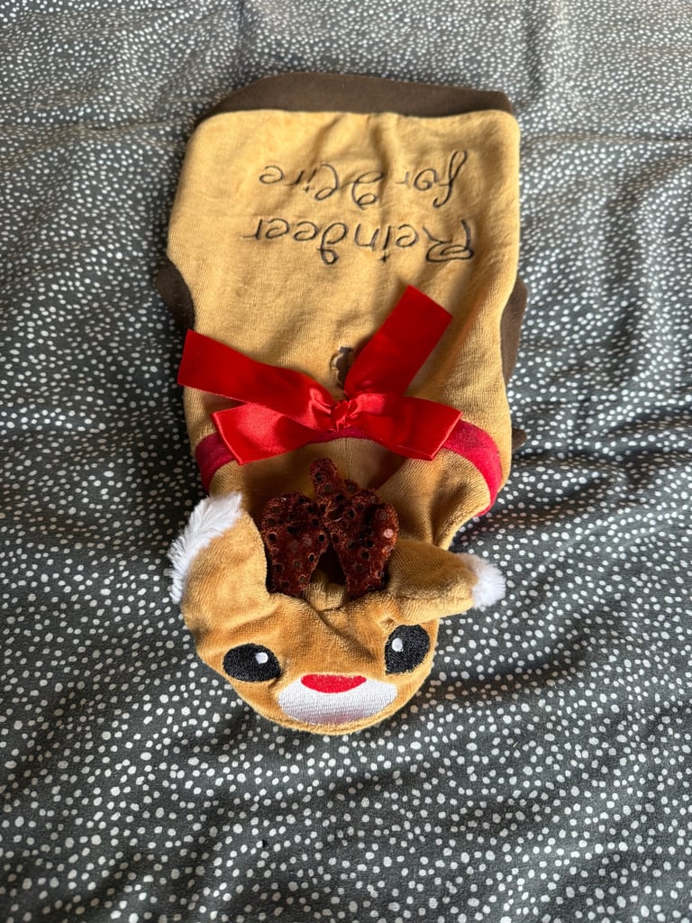 Reindeer For Hire Dog Costume
