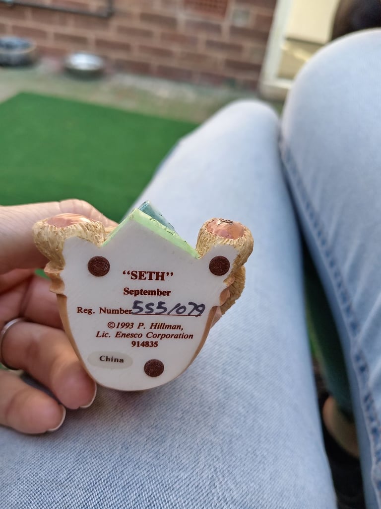 Cherished teddies collection 