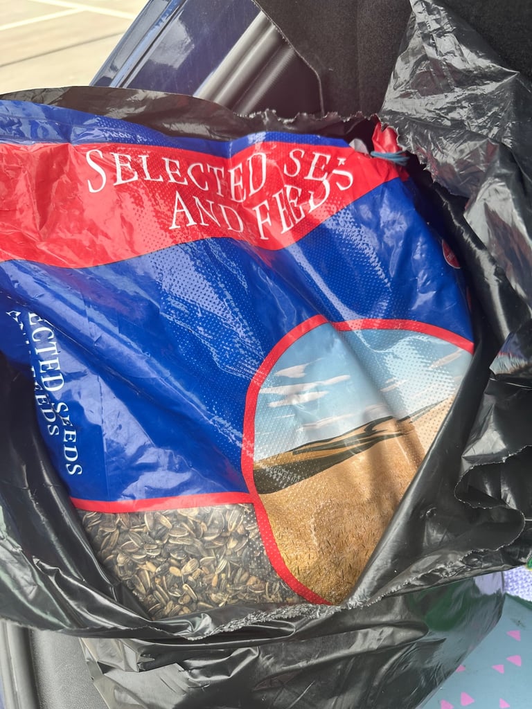 image for Big bag of sunflower seeds 