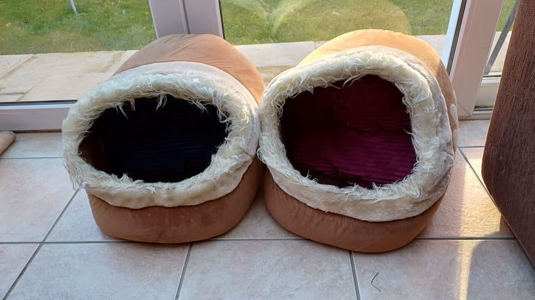 Cat beds, caves, blankets, grooming, scratch posts,litter tray