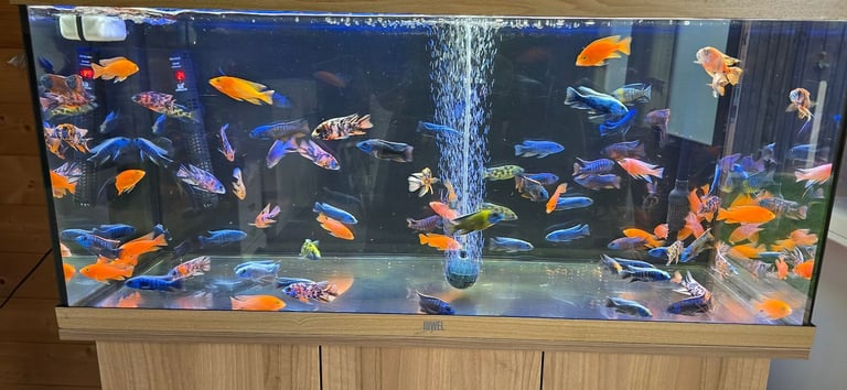 Fish tanks