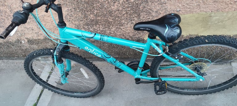 Bicycle (adult bike)