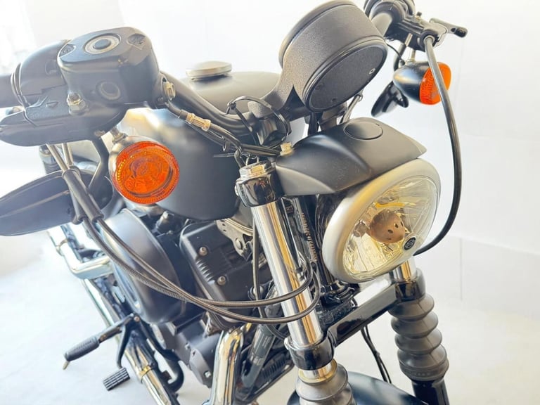 2015 Harley-Davidson Sportster 883 XL883N Iron 883