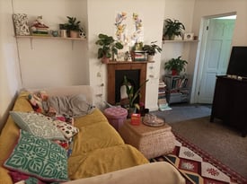 Two rooms available in Southville house 