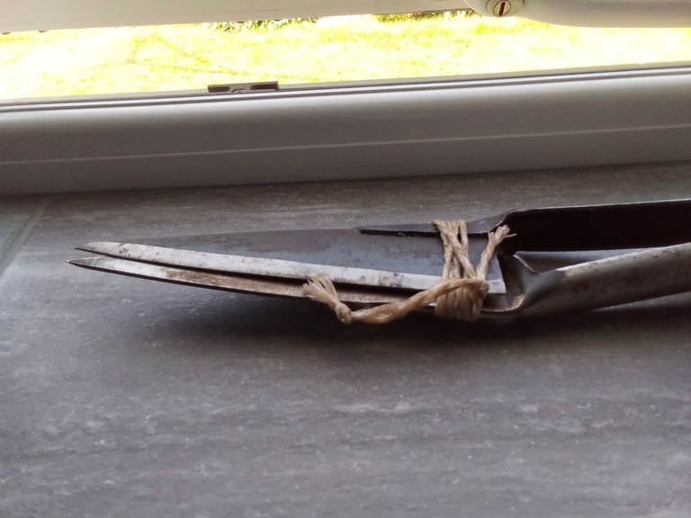 Sheep dagging shears