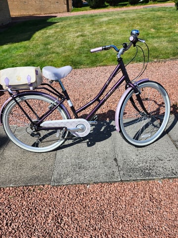 Electric Bike Pendleton Blossomby Bike Revista Construcción