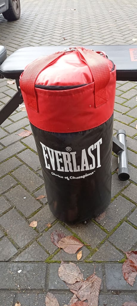 Everlast Punch bag