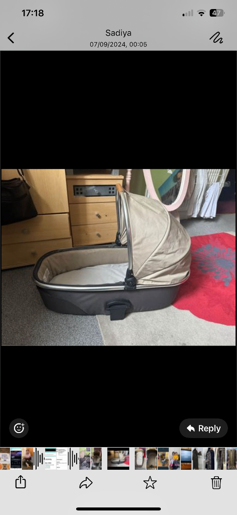 Mamas and papas carry cot and sachet 