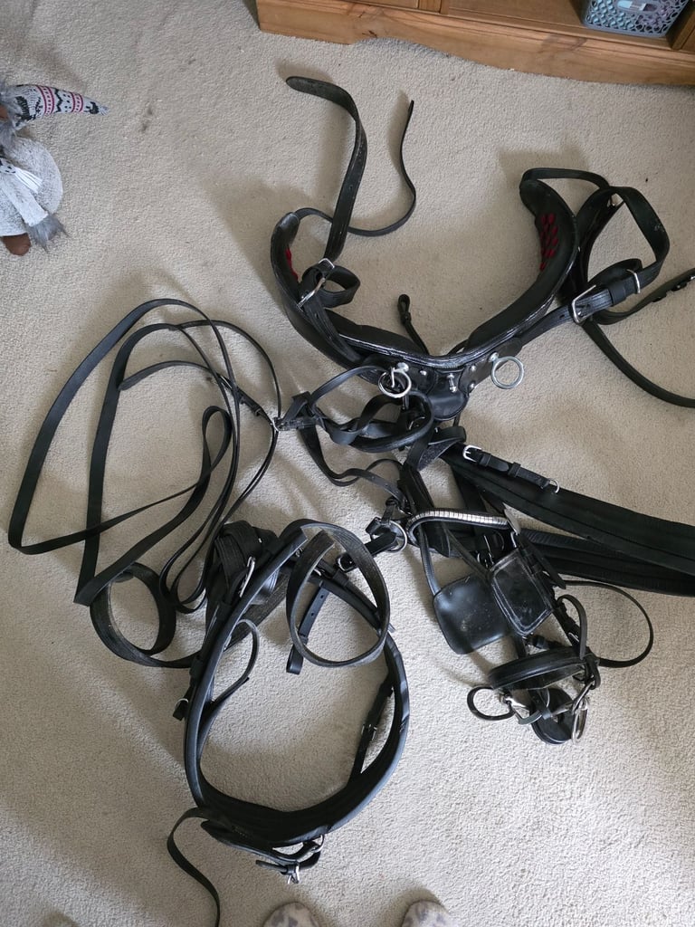 Cob Size Full Black Harness 