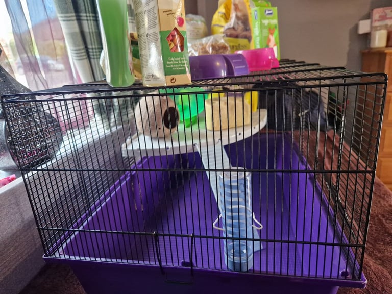 Large hamster cage