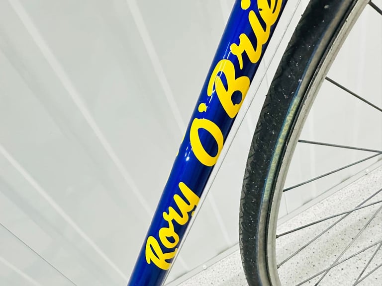 17  RORY O BRAIN Size/54 cm 12 Speed Index Gears Fully Serviced Warranty