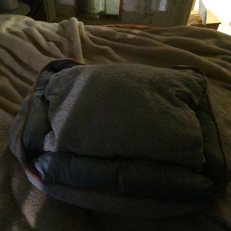 Medium dog bed for sail 