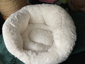 Cozy bed for kittens