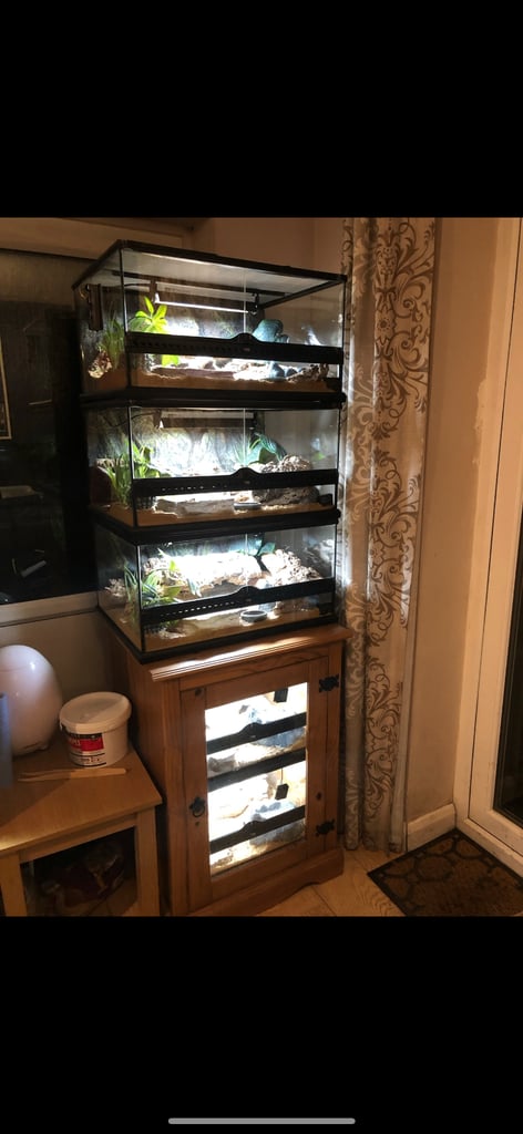 Reptile vivariums and breeding equipment rack incubators plus more