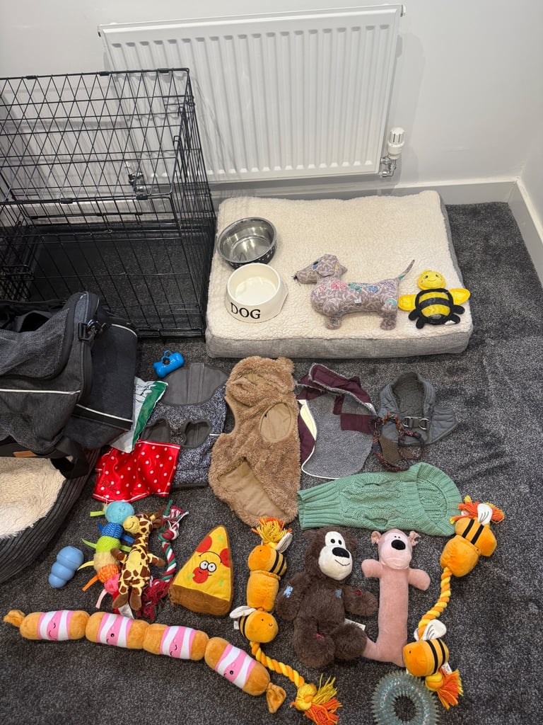 Small dog Accessories bundle