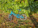 Boys 16 inch blue giant bike