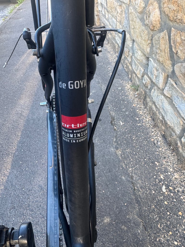 Step through Dutch style ladies bike