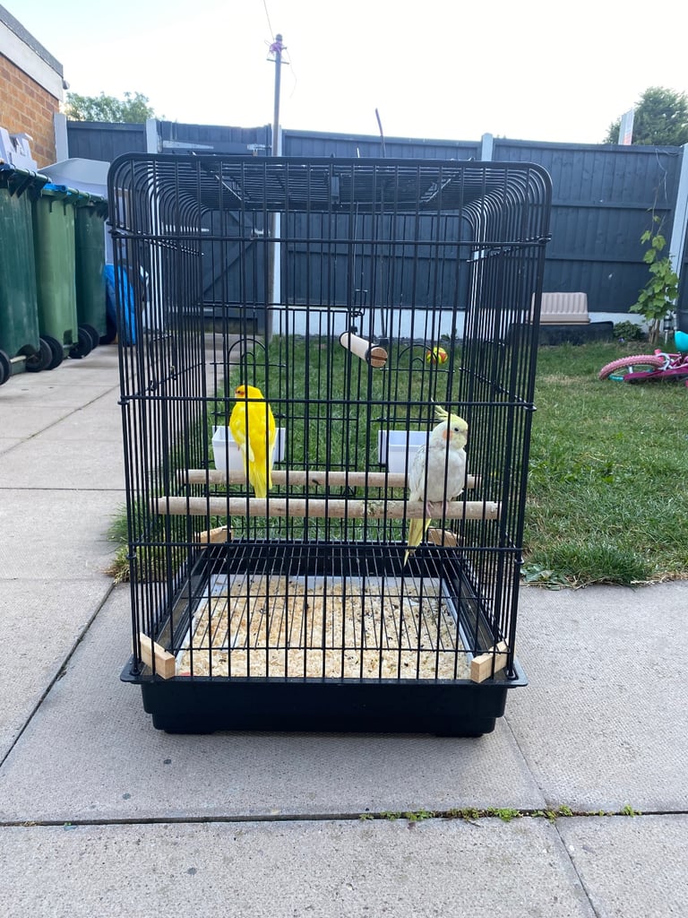 Cage