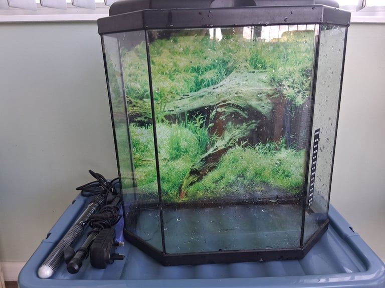Small aquarium 