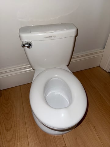 Mini toilet for potty training in Banbridge, County Down Gumtree