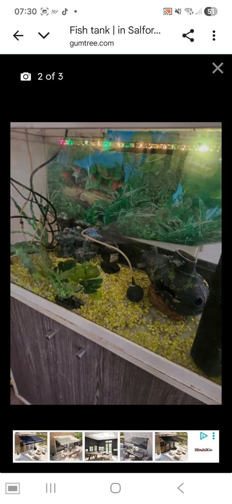 image for Fish tank and ornemants
